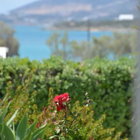 Aparthotel Thalasea - Village Antiparos Città