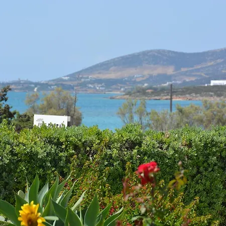 Thalasea - Village Antiparos Città