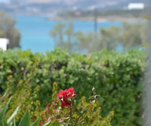 Hotel apartamentowy Thalasea - Village Antiparos Town